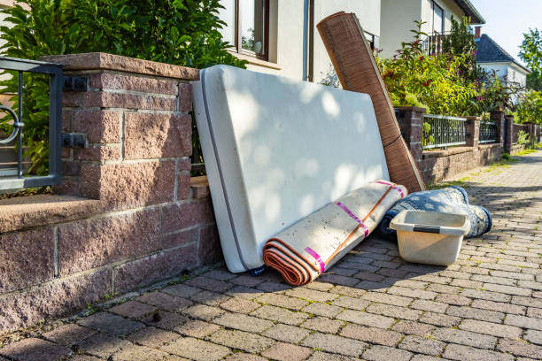 Best Yard Cleanup Services  in Colona, IL